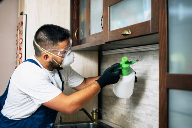 Best Residential Pest Control  in Arcola, TX