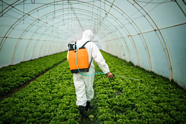 Best Pest Removal Services  in Arcola, TX