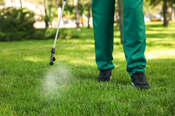 Best Insect Control  in Arcola, TX