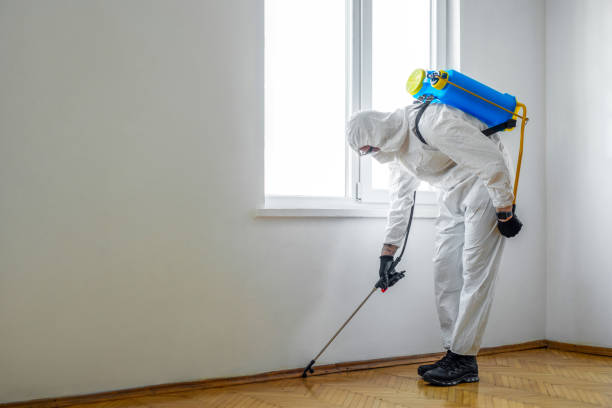 Best Best Pest Control Companies  in Arcola, TX