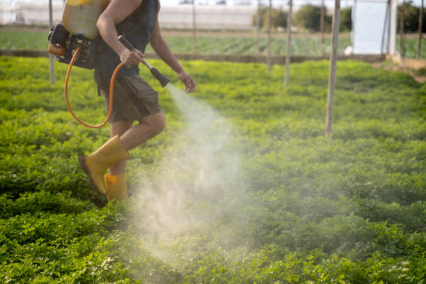 Best Best Pest Control Companies  in Arcola, TX