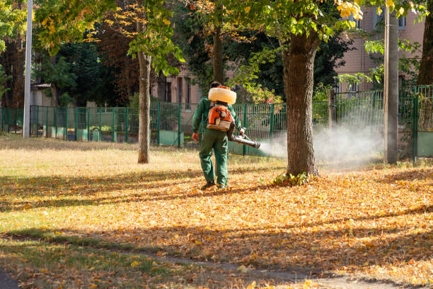 Professional Pest Control in Arcola, TX